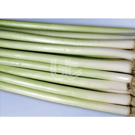 Bt Hotanlı (İnegöl Tipi) Pırasa Tohumu resmi