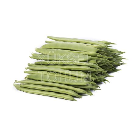 Y 39 Şekerpare Fasulye Tohumu (1 Kg) resmi