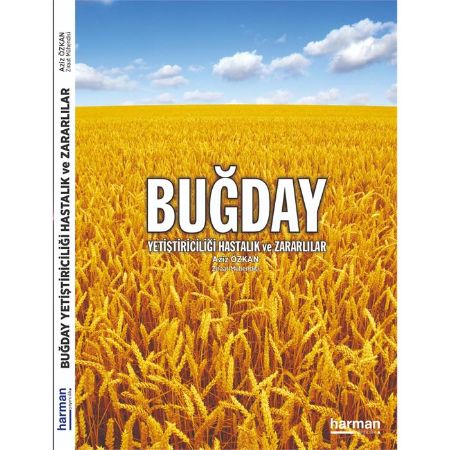 Buğday Yetiştiriciliği Hastalık Ve Zararlılar resmi