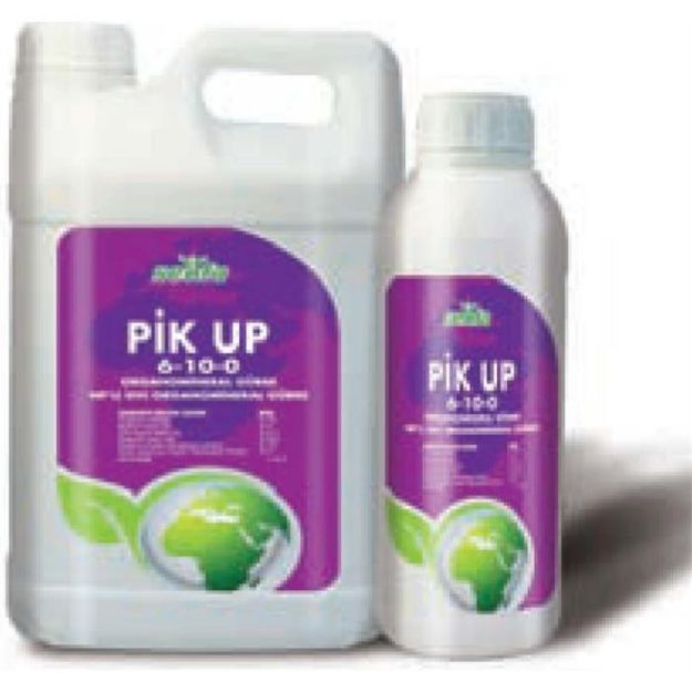 Pik Up 1 Lt resmi