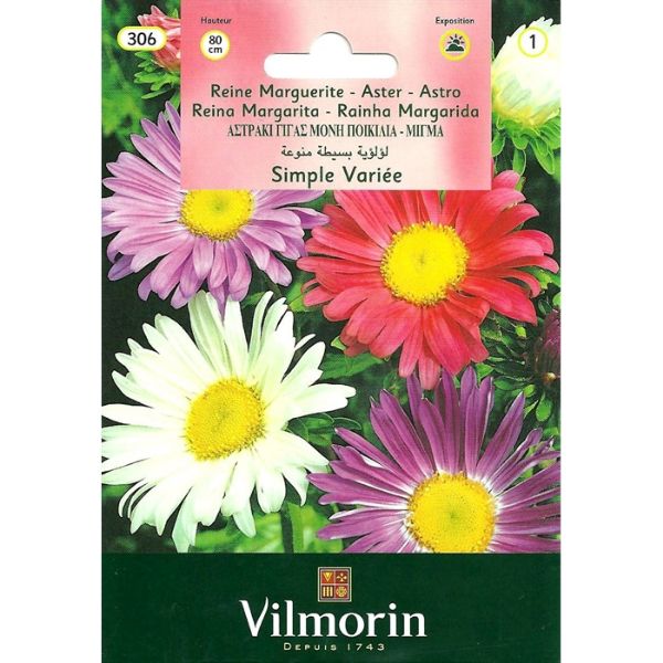 Katmersiz Kraliçe Papatya (Yalınkat) resmi