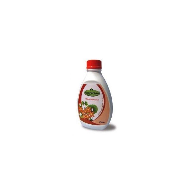 Sardunyalar İçin Gübre (Sıvı) 500 Ml resmi