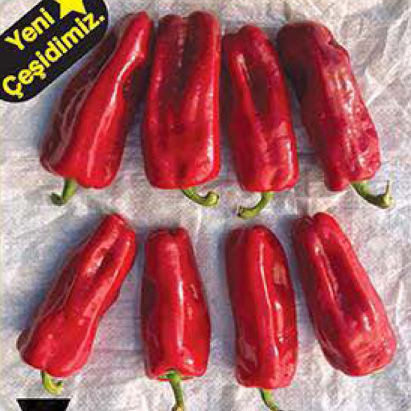 BT Şahin Acı Üçburun Biber Tohumu resmi