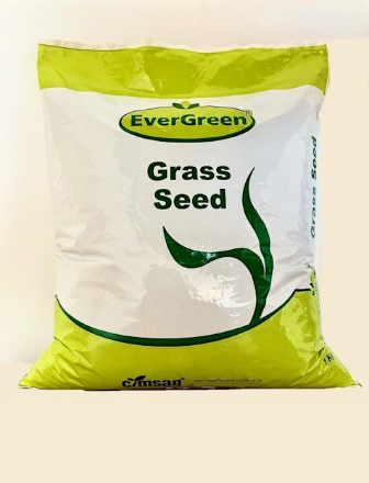 Evergreen Shady Place 5’ Ii Karışım Gölge Alan İçin Çim Tohumu 1 Kg resmi