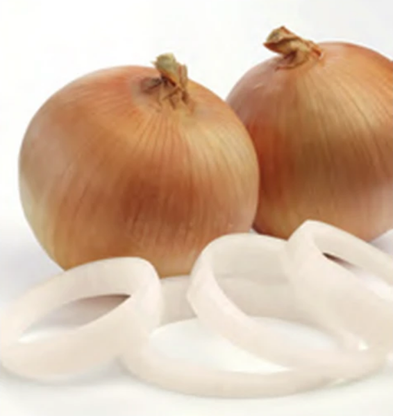 Nun 7194 F1 (Sarı) Soğan Tohumu resmi