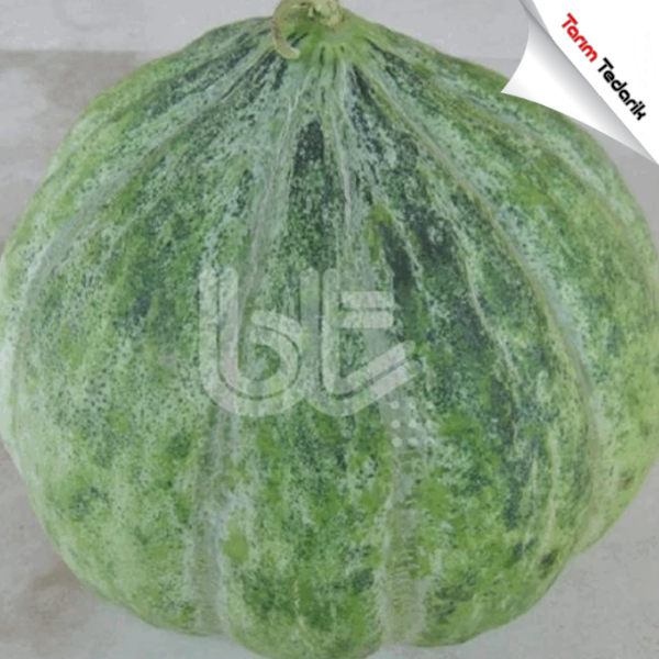 Bt Damga (Mühürlü Kavun Tipi) Kavun Tohumu resmi