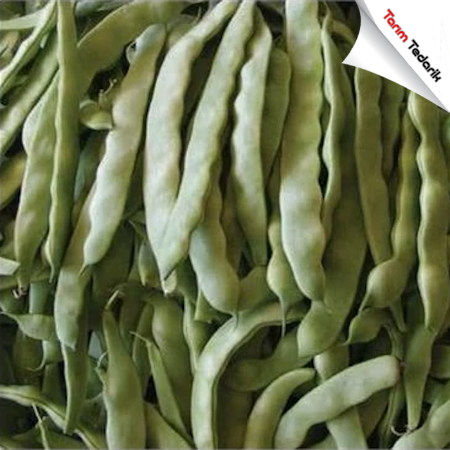 Perolar Fasulye Tohumu (Sırık Tip) 10 Kg resmi