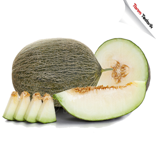 Canpolat F1 Kavun Tohumu (Piel De Sapo) resmi