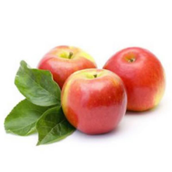 Amasya Elma Fidanı resmi