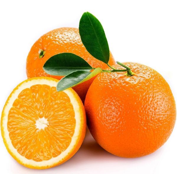 Navelina Fidanı resmi