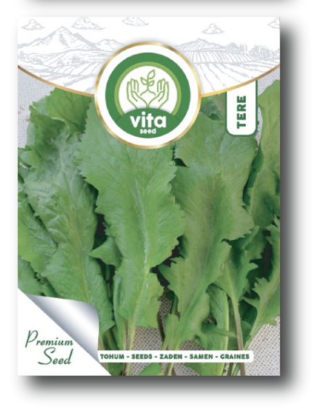 Tere Geniş Yaprak resmi