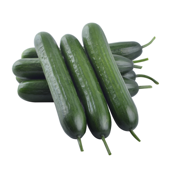 Bi̇ray Hıyar Tohumu resmi