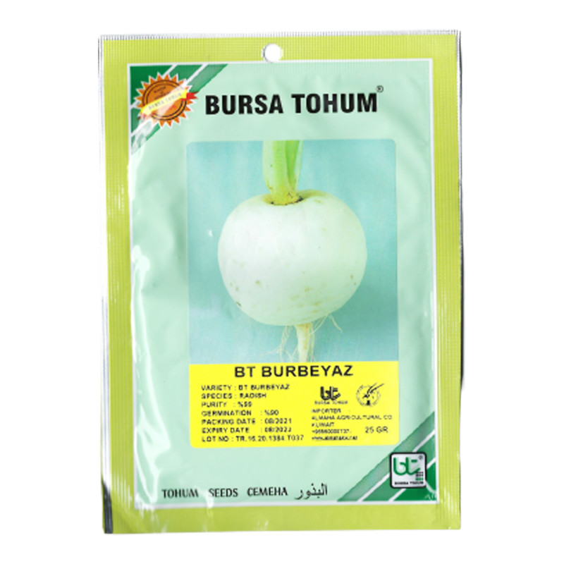Burbeyaz Turp Tohumu ( 500 Gr )