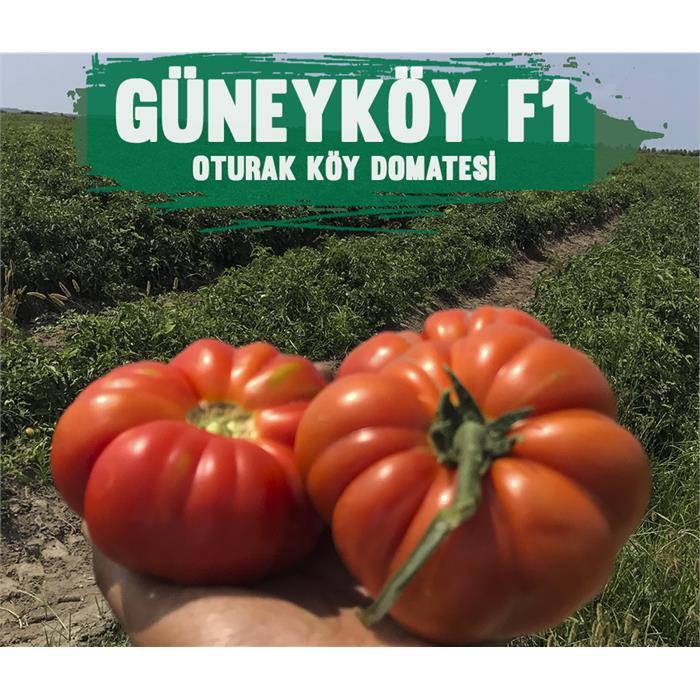Güneyköy F1 Domates Tohumu