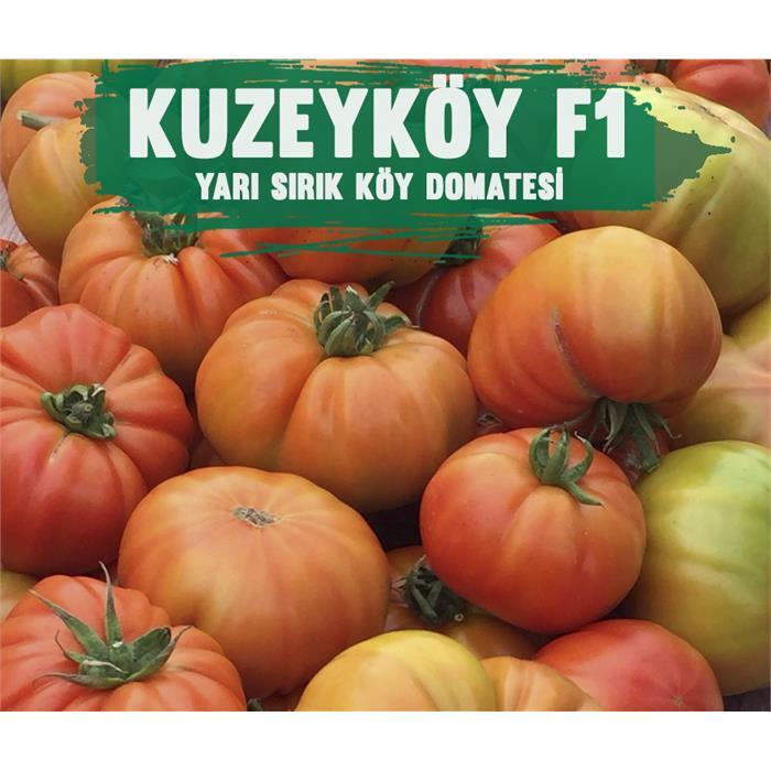 Kuzeyköy F1 Domates Tohumu
