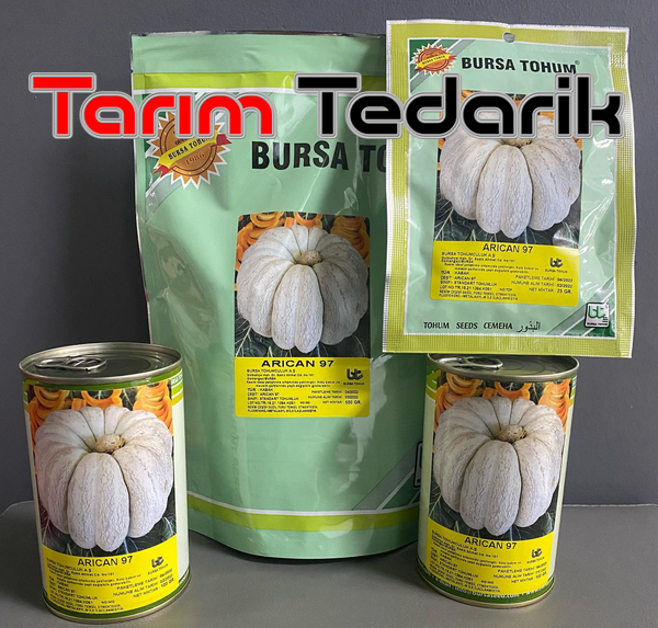Arıcan 97 (Bal Kabağı) Kabak Tohumu