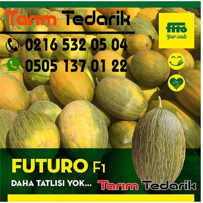 Futuro F1 Kavun Tohumu ( Piel De Sapo )