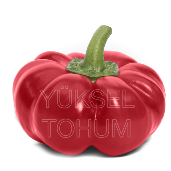 Meriç F1 Dolma Biber Tohumu