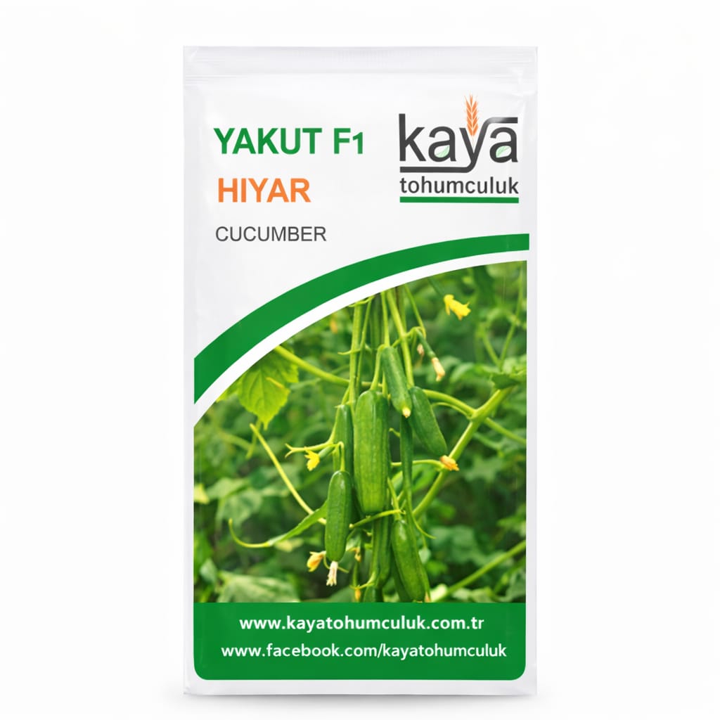 Yakut F1 Hıyar Tohumu (500 Adet'lik Paketlerde)