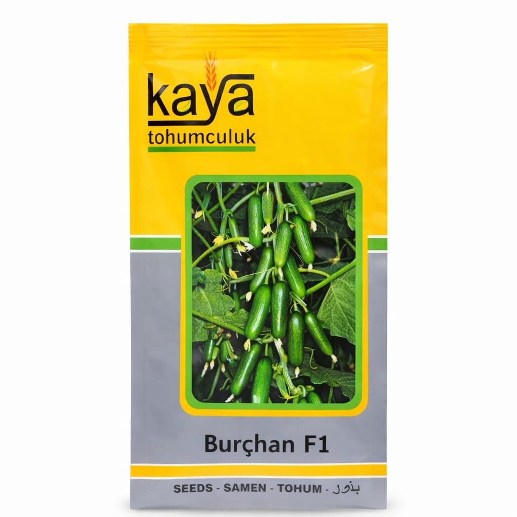 Burçhan F1 Hıyar Tohumu (500 Adet'lik Paketlerde)