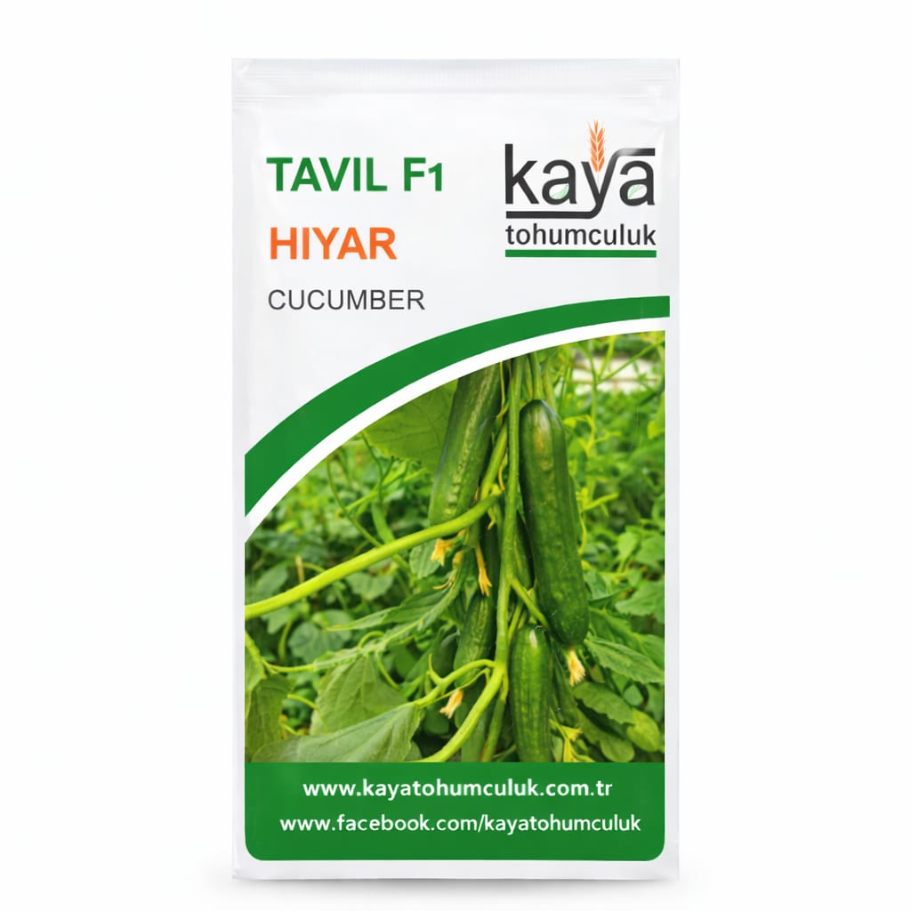 Tavil F1 Hıyar Tohumu (500 Adet'Lik Paketlerde)
