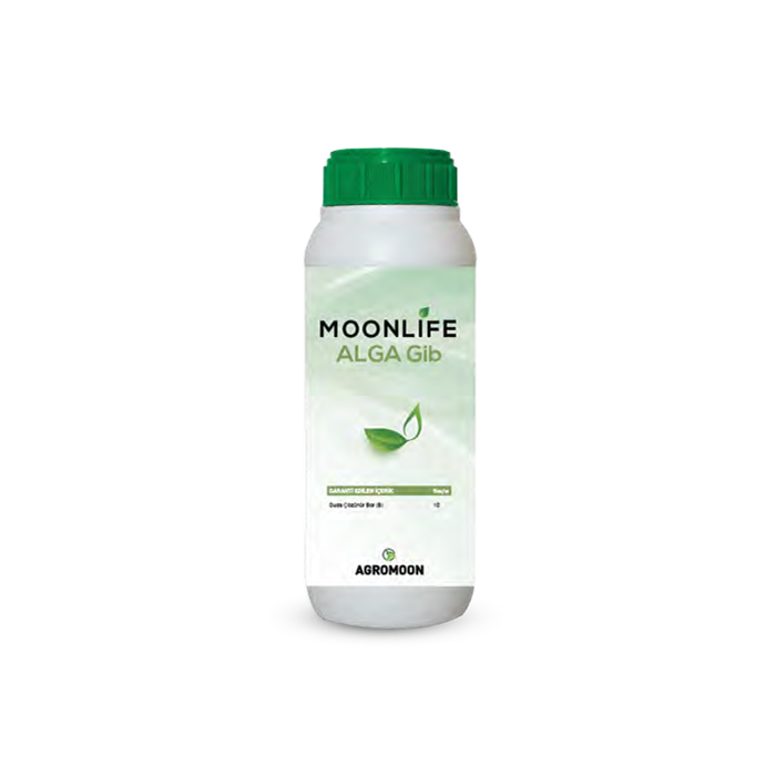 Moonlife Alga Gib