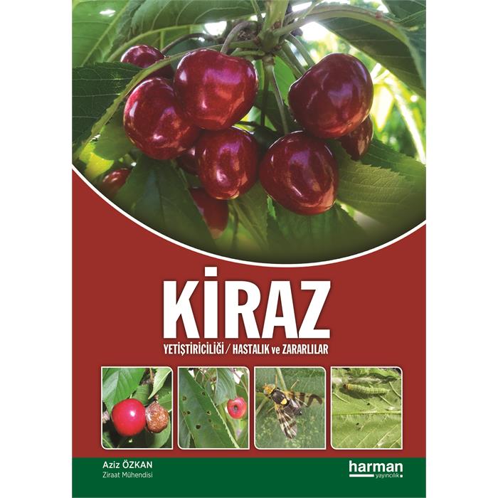 Kiraz Yetiştiriciliği Hastalık Ve Zararlılar