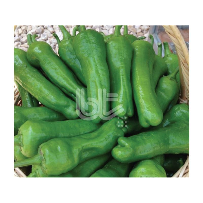 Bt Trilop 016 (Üç Burun) Biber Tohumu