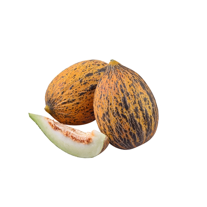 Özbey F1 Kavun Tohumu (Kırkağaç)