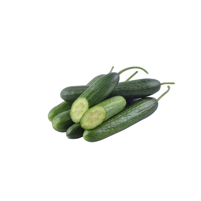 Bahar F1 Hıyar Tohumu (Erken Güz - Bahar - Yaz)