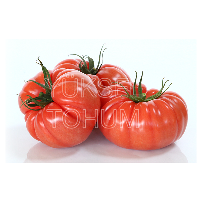 Ergen F1 Domates Tohumu