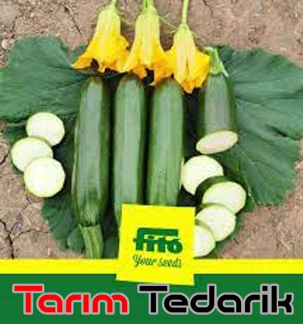 Brillante F1 Kabak Tohumu (Siyah)