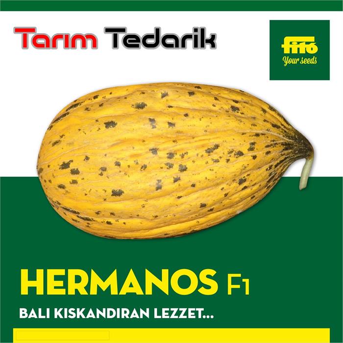 Hermanos F1 Kavun Tohumu (Kırkağaç)