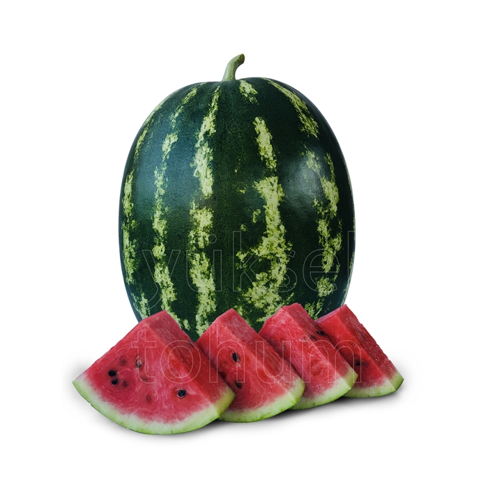 Peykan F1 Karpuz Tohumu