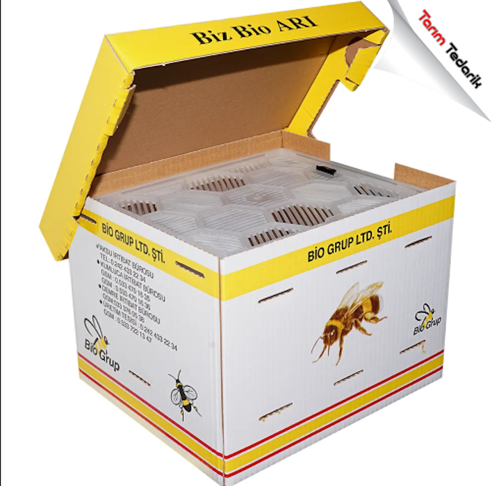 Bombus Arısı Kovan