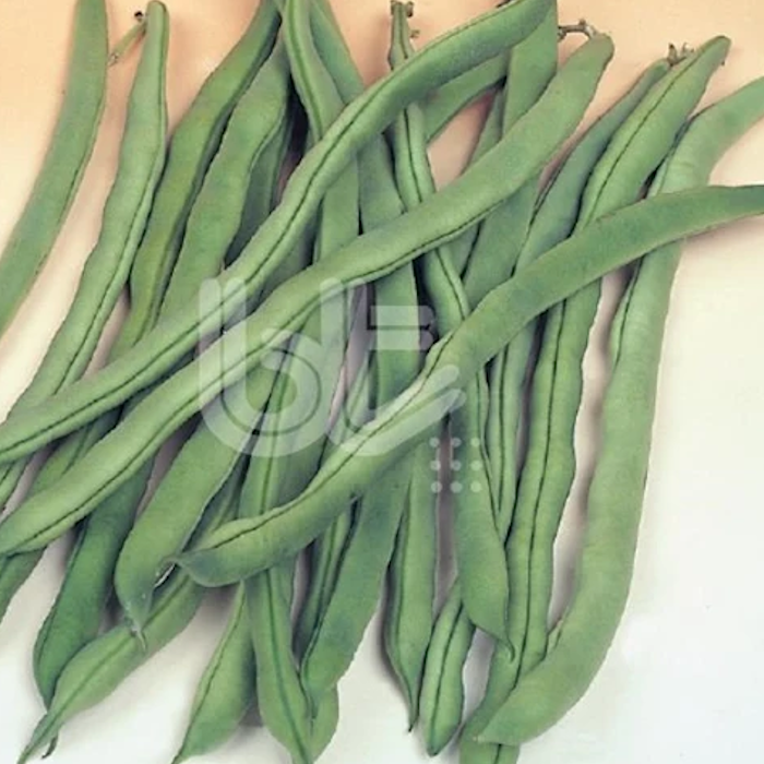 Alman Ayşe 4 (Yuvarlak Sırık) Fasulye Tohumu 1 Kg