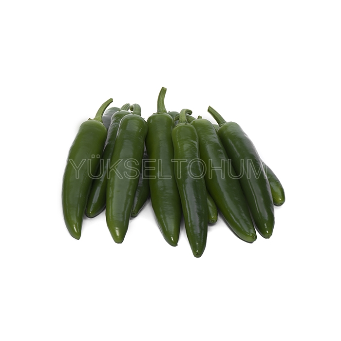 Yetkin F1 Jalapon Biber Tohumu
