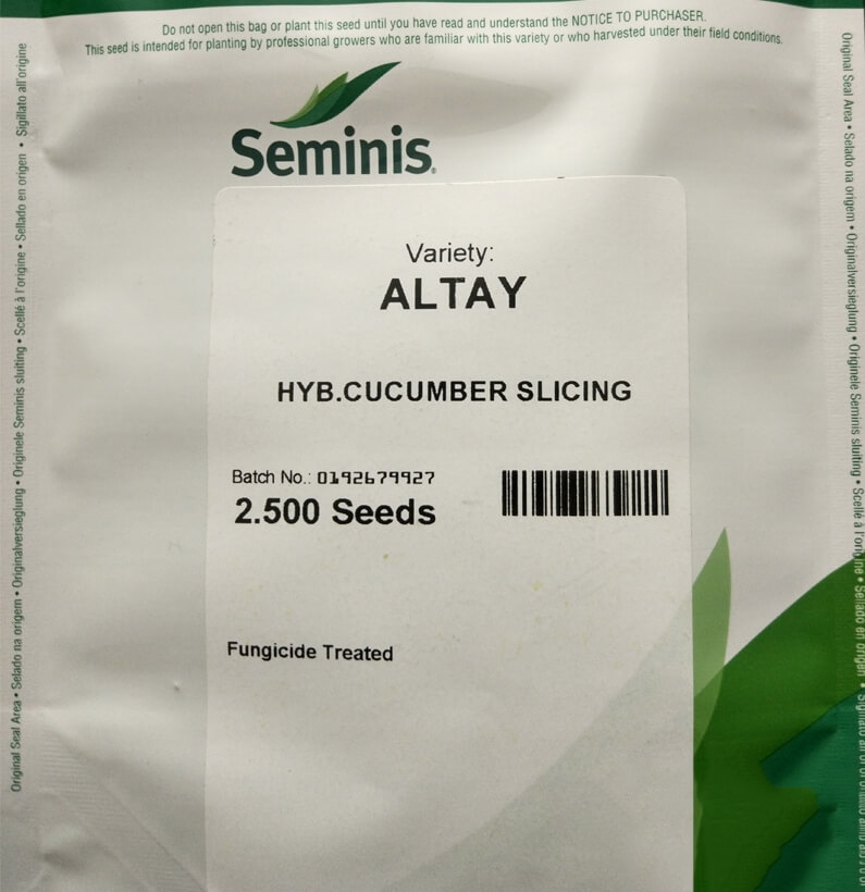 Altay F1 Hıyar Tohumu