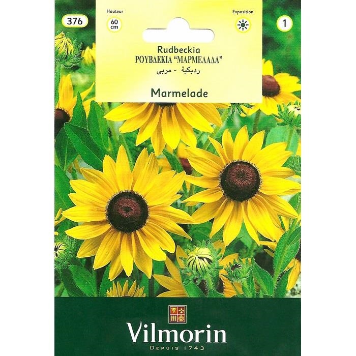 Rudbekya - Güneş Şapkası