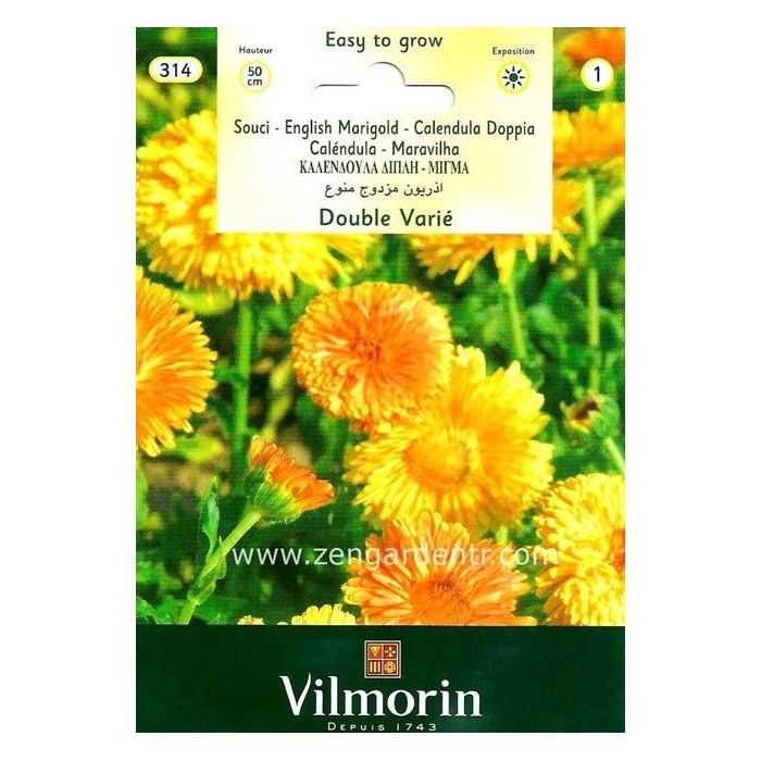 Aynısafa (Marigold)