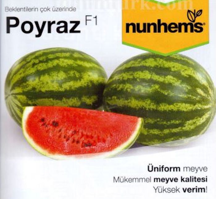 Poyraz F1 Karpuz Tohumu