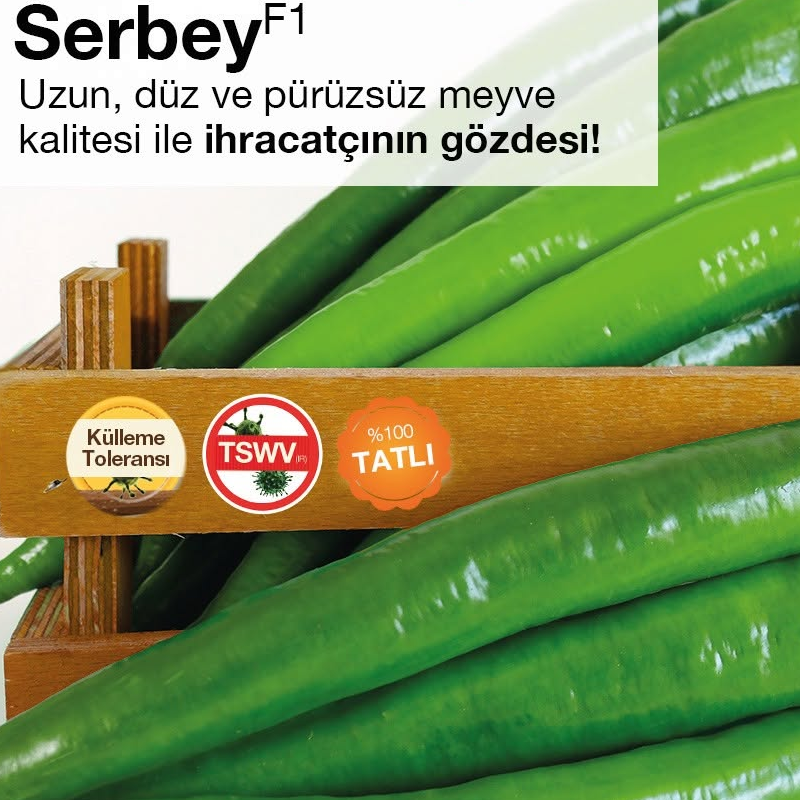 Serbey F1 Hibrit Biber Tohumu