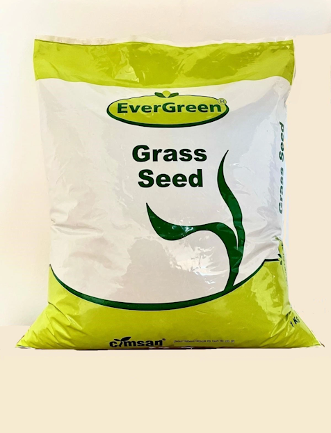 Evergreen Shady Place 5’ Ii Karışım Gölge Alan İçin Çim Tohumu 1 Kg