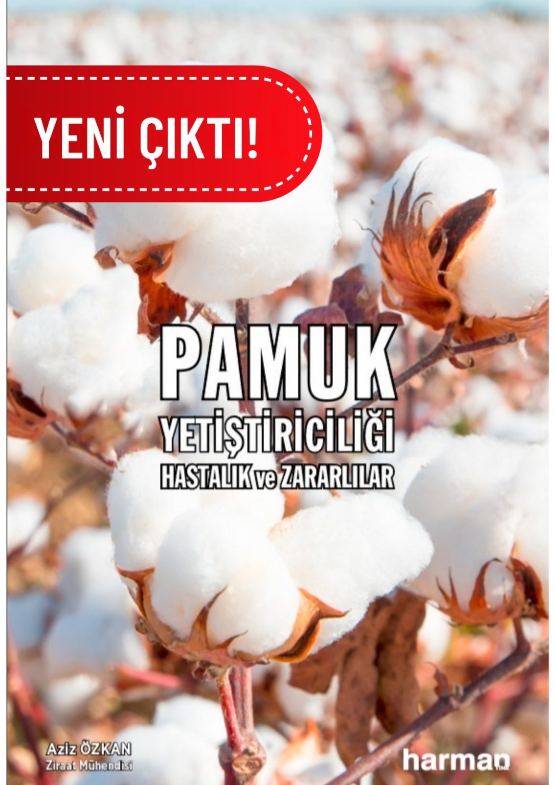 Pamuk Yetiştiriciliği Hastalık Ve Zararlılar