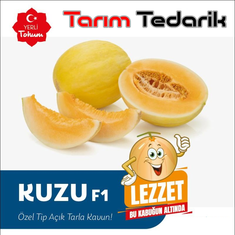 Kuzu F1 Kavun Tohumu