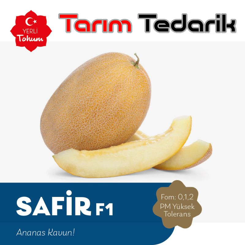 Safir F1 Kavun Tohumu