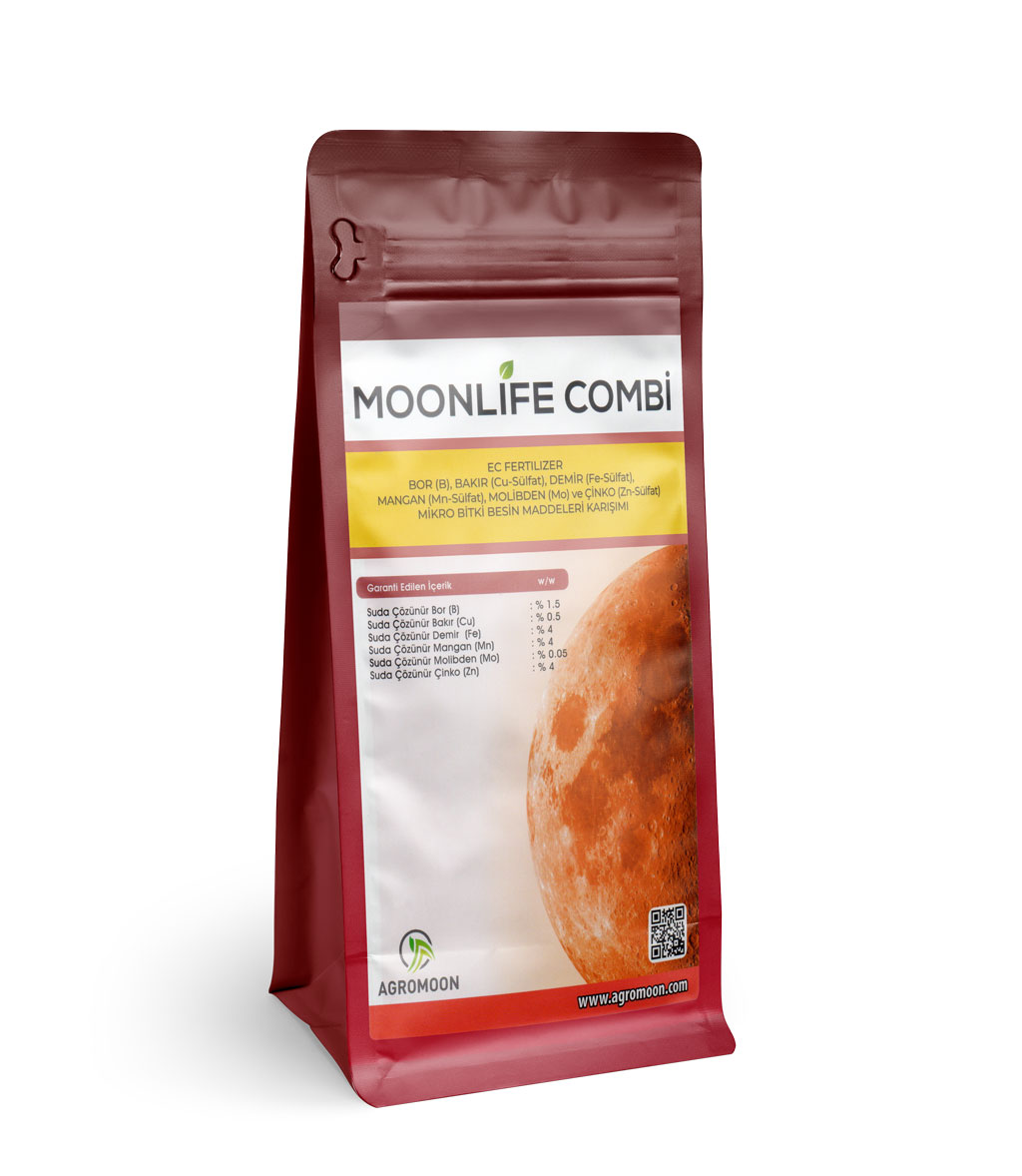 Moonlife Combi