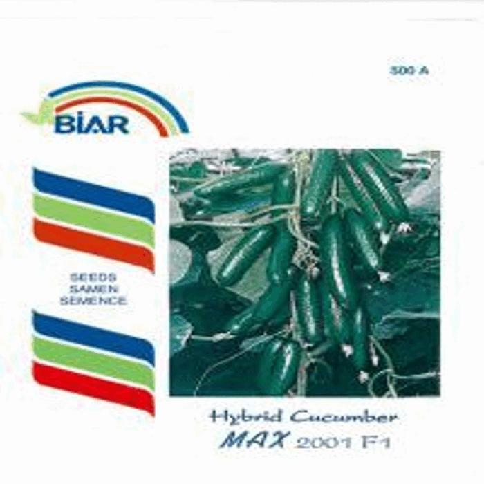 Max 2001 Hıyar Fidesi F1