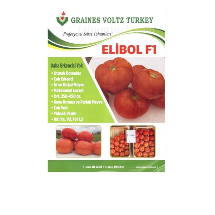 Elibol F1 Domates Fidesi