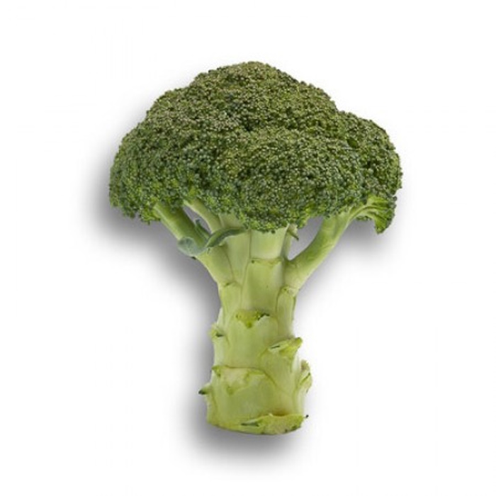 Agassı F1